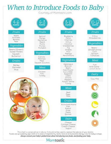 Solid Food Chart for Babies Aged 4 months through 12 months - Find age appropriate foods for all ...