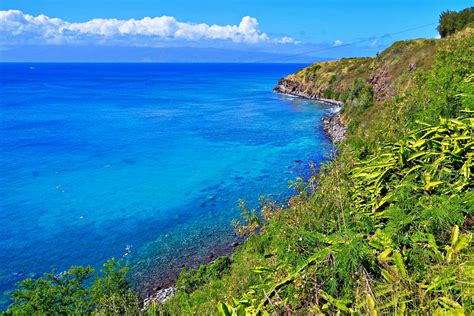 Where to Find the Best Snorkeling In Lahaina & West Maui: 2024 Guide!