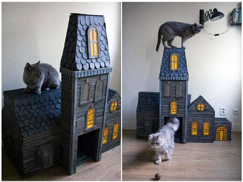 Haunted Cat House | DIY Cardboard Box Cat House