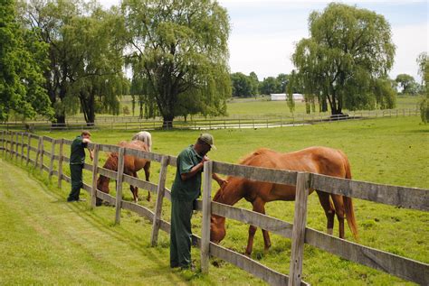 Wallkill Correctional Facility | Brooklyn Backstretch