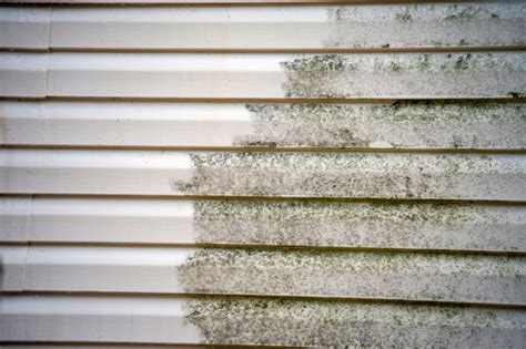 Siding Cleaning | SoftWash Systems