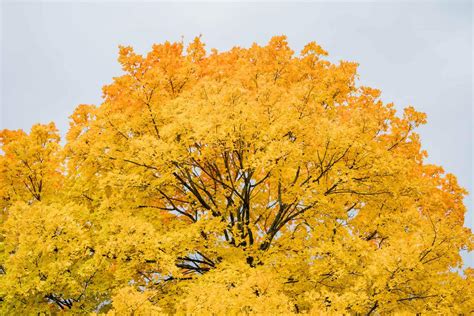 Holden Arboretum - Jake Muller Co. Photo