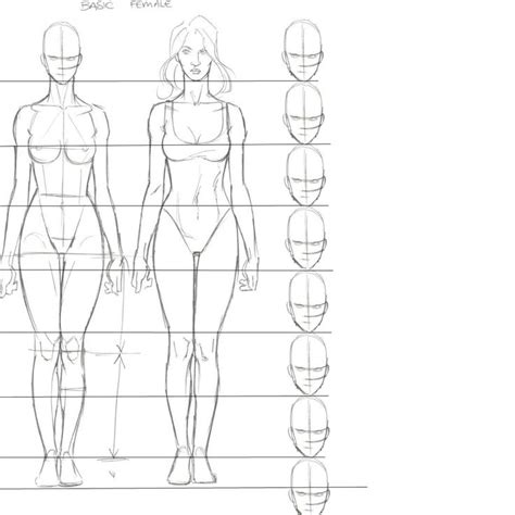 Female proportions | Drawing body proportions, Body proportion drawing ...