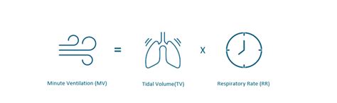 How To Calculate Minute Ventilation Rate - Image to u