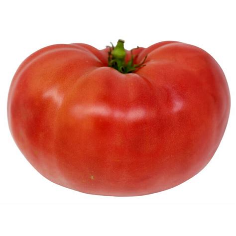 Organic Tomato Seeds | OSC Seeds