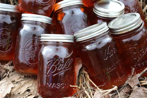 Maple Syrup Making: How to Tap into this Valuable Resource - Life on Misty Acres