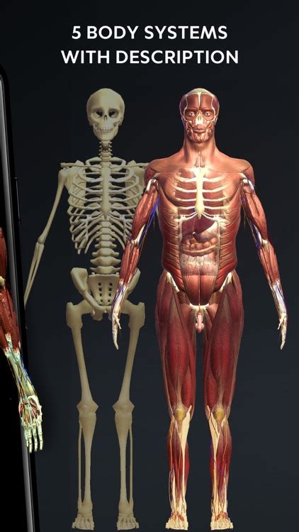 Human Body Atlas: 3D Medical by Improvision