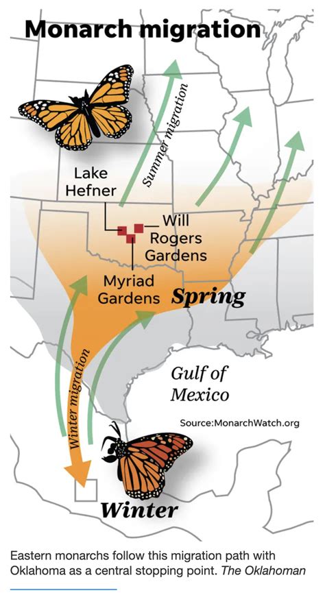 Monarch Butterfly Migration Map 2022