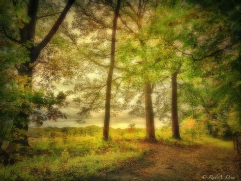 Rad A. Drew Photography: Create Your Own Orton Effect