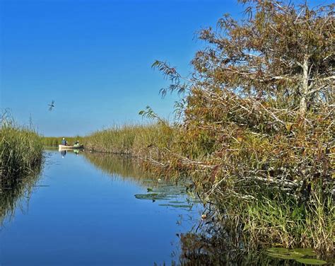 Loxahatchee National Wildlife Refuge: Wild spot to kayak, hike, bike