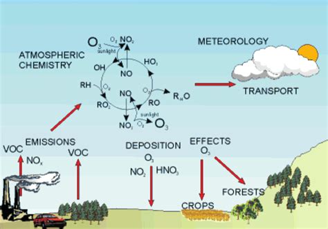 Troposphere Ozone formation and transportation downwind of precursor ...