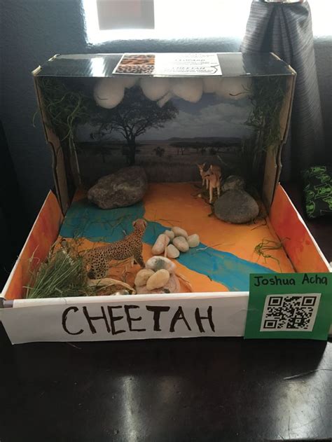 1st grade Cheetah diorama | Diorama kids, Craft projects for kids, Cheetah crafts