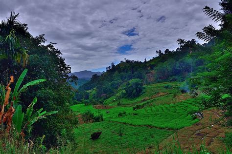 Tallest Mountains In Sri Lanka - WorldAtlas