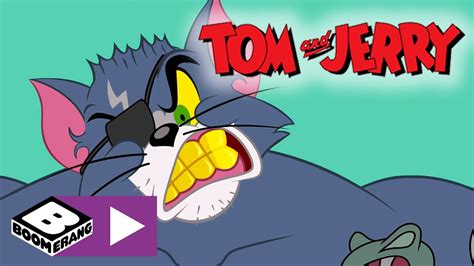 Tom jerry cartoon video download - nemasa