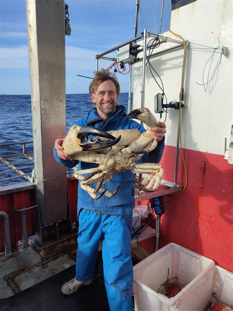 Giant Crab - Tasmanian Wild Fisheries Assessments