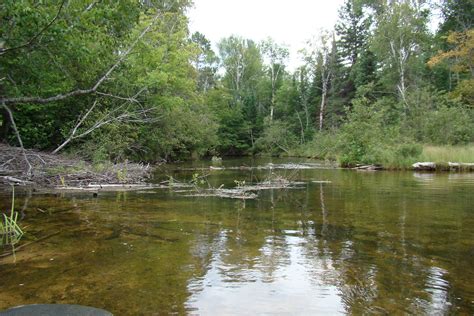 Kayak Northeast: Indian River : Michigan Upper Peninsula August 2012