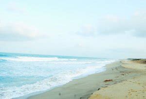 Best Beaches in Gujarat- Popular Beaches To Visit in Gujarat