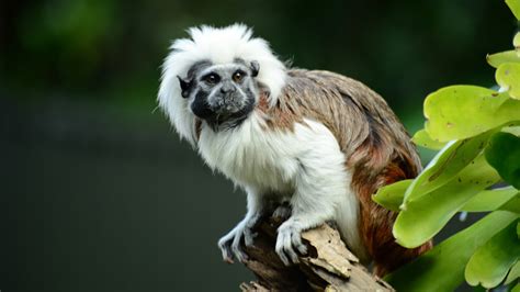 This Underrated South American National Park Is A Must-Visit For Nature Lovers