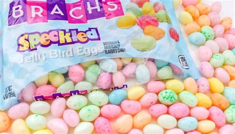 Brach's Speckled Jelly Bird Eggs - All City Candy