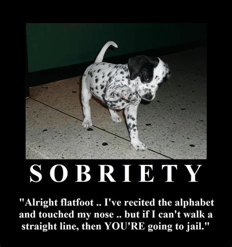 Sobriety | Motivational posters, Dog cat, Sobriety