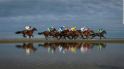 Why do racehorses love the beach? - CNN