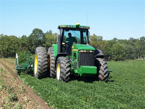 Early Introduction of Peanuts Helps Avoid Allergies