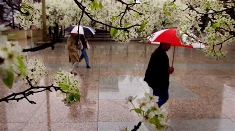 Middle Tennessee weather: Severe storms possible starting Monday evening