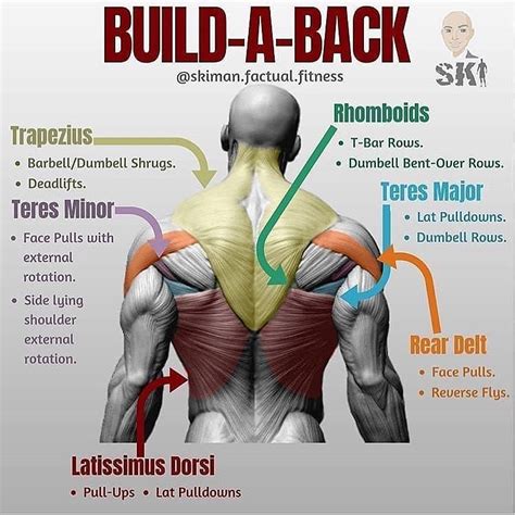 BUILD A BACK By @skiman.factual.fitness - Follow @gym_fit_union It ...