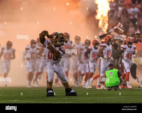 August 21, 2017: Cleveland Browns Mascot ''CHOMPS'' performs during the ...