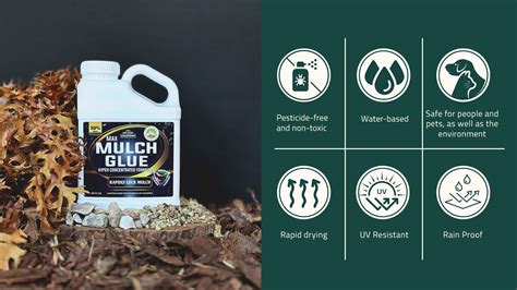 Mulch Glue: Keep Your Landscape Beds Looking Great All Year Long