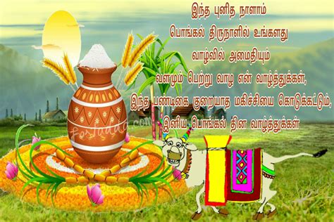 Happy Pongal 2021 / Happy Pongal 2021 Wishes Quotes Messages Greetings Whatsapp And Facebook ...