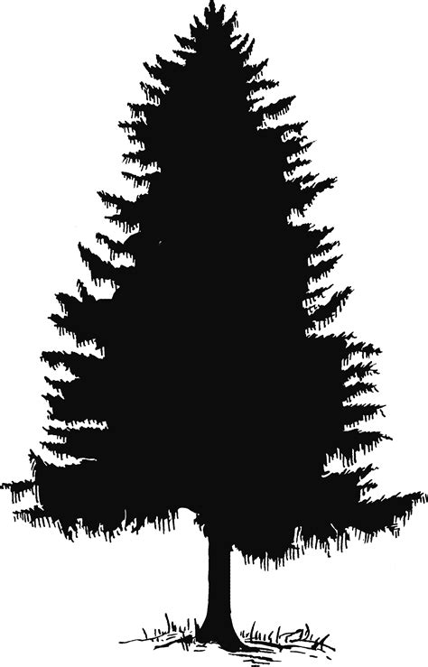 Pine Tree Silhouette Clip Art Free - Tree Pine Silhouette Vector Cedar Outline Fir Tattoo Forest ...