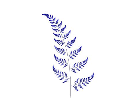 Silver Fern Drawing at PaintingValley.com | Explore collection of ...