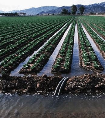 Furrow Irrigation | Furrow Planning, 4 Application Steps