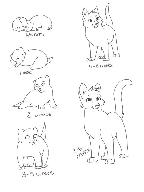 Warrior Cat Age Chart | Cat drawing tutorial, Warrior cat drawings, Warrior cat