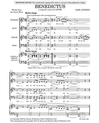 Benedictus (from "The Armed Man") Sheet Music by Karl Jenkins | nkoda | Free 7 days trial