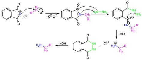 gabriel phthalimide synthesis mechanism - Overview, Structure ...