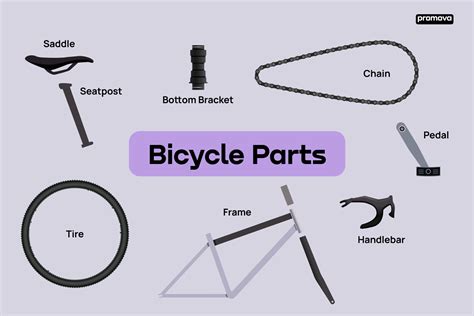 Common And Advanced Bicycle Parts Names