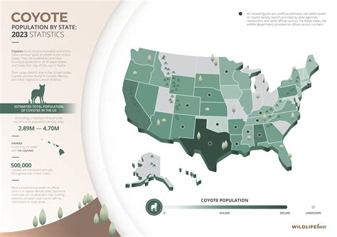 Coyote Population By State: 2023 Statistics [Data]