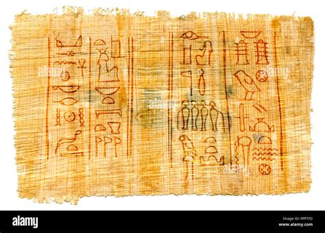 Egyptian Hieroglyphics On Papyrus