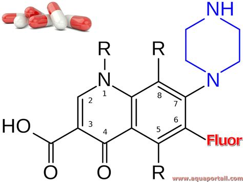 Fluoroquinolone : définition et explications