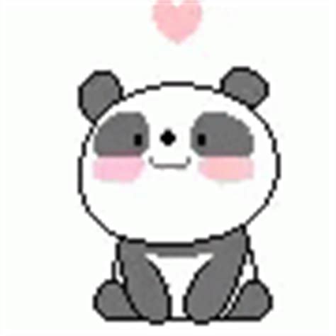 Cute Panda Bear GIFs | Tenor