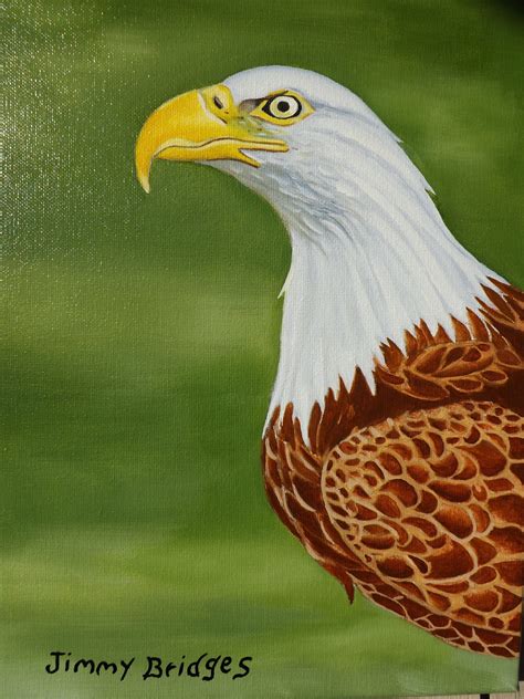 Bald Eagle, Painting by Jimmy Bridges | Artmajeur