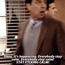 The Office Michael Scott GIF - The Office Michael Scott Stay Calm - Discover & Share GIFs