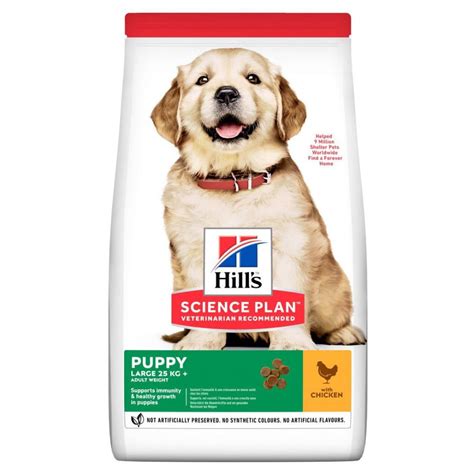 Hill's Science Plan Puppy Large Breed Dry Dog Food Chicken Flavour ...