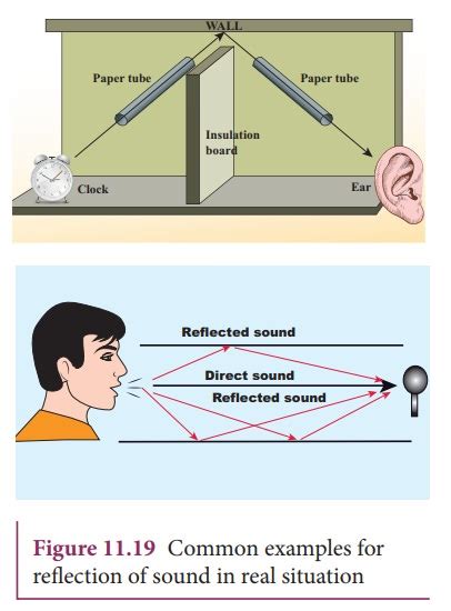 Reflection Of Sound Waves