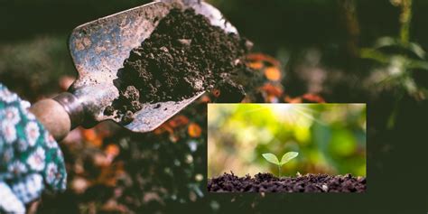 How To Prep Soil For Gardening - Proper Guideline