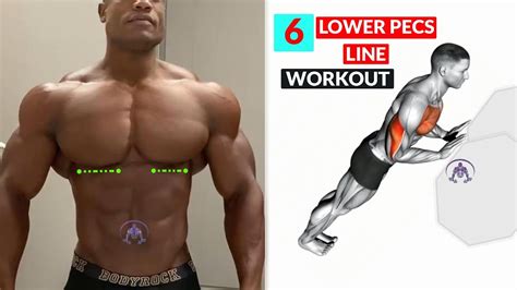 lower chest workout gym > OFF-51%