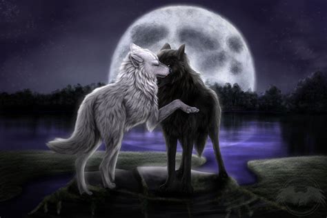 Werewolf Anime Wallpapers - Wallpaper Cave