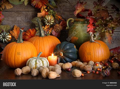 Still Life Harvest Image & Photo (Free Trial) | Bigstock